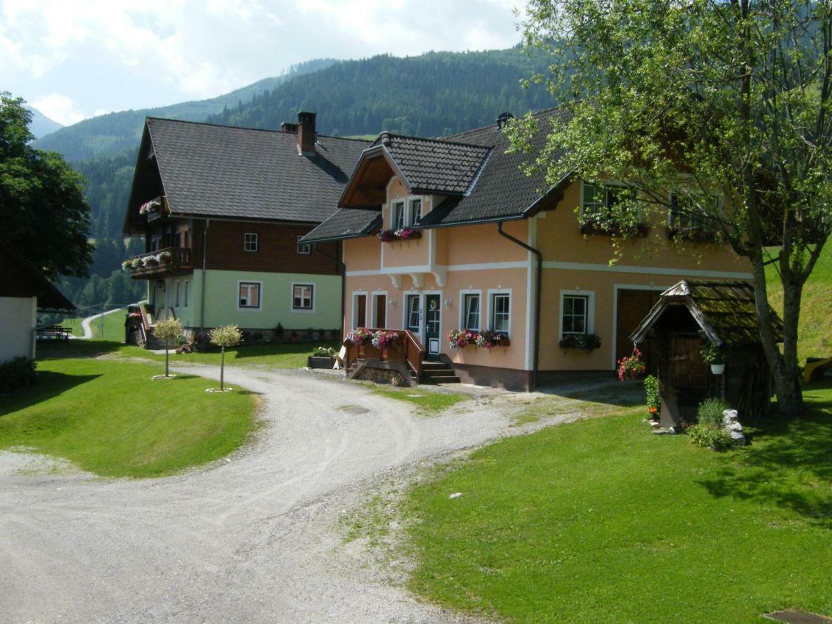 Hintereggerhof Villa Pruggern Dış mekan fotoğraf